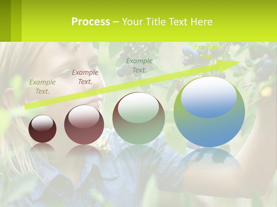 The Girl Collects Blueberries PowerPoint Template