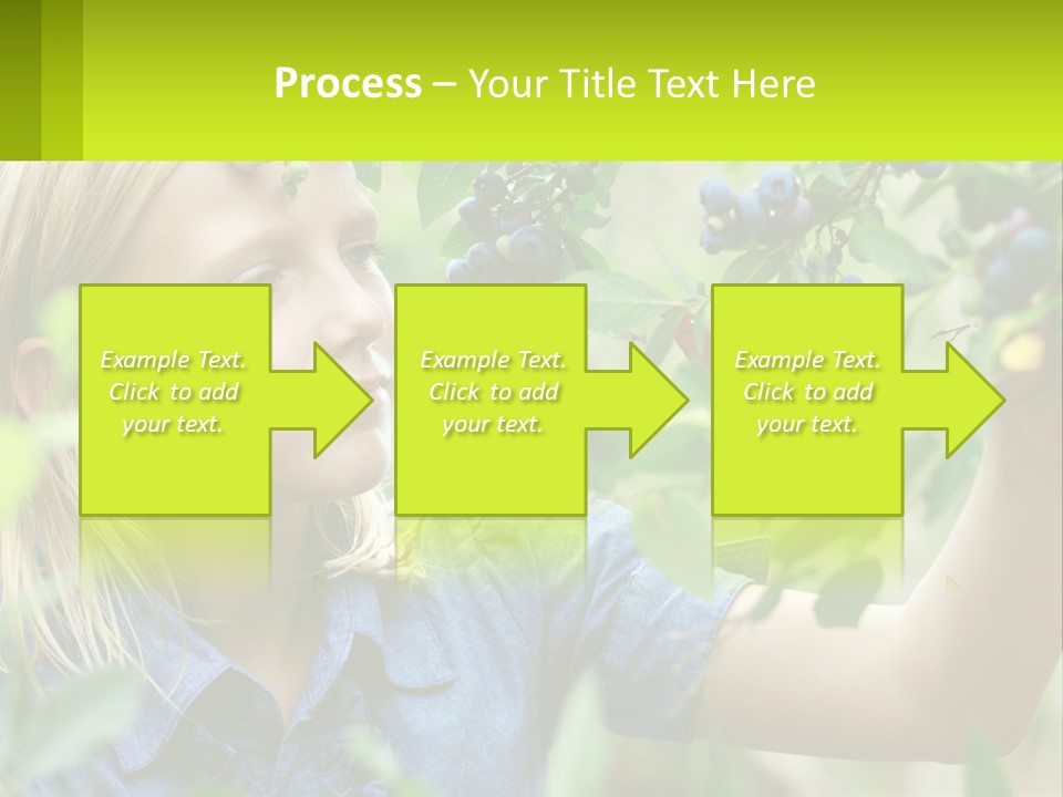 The Girl Collects Blueberries PowerPoint Template