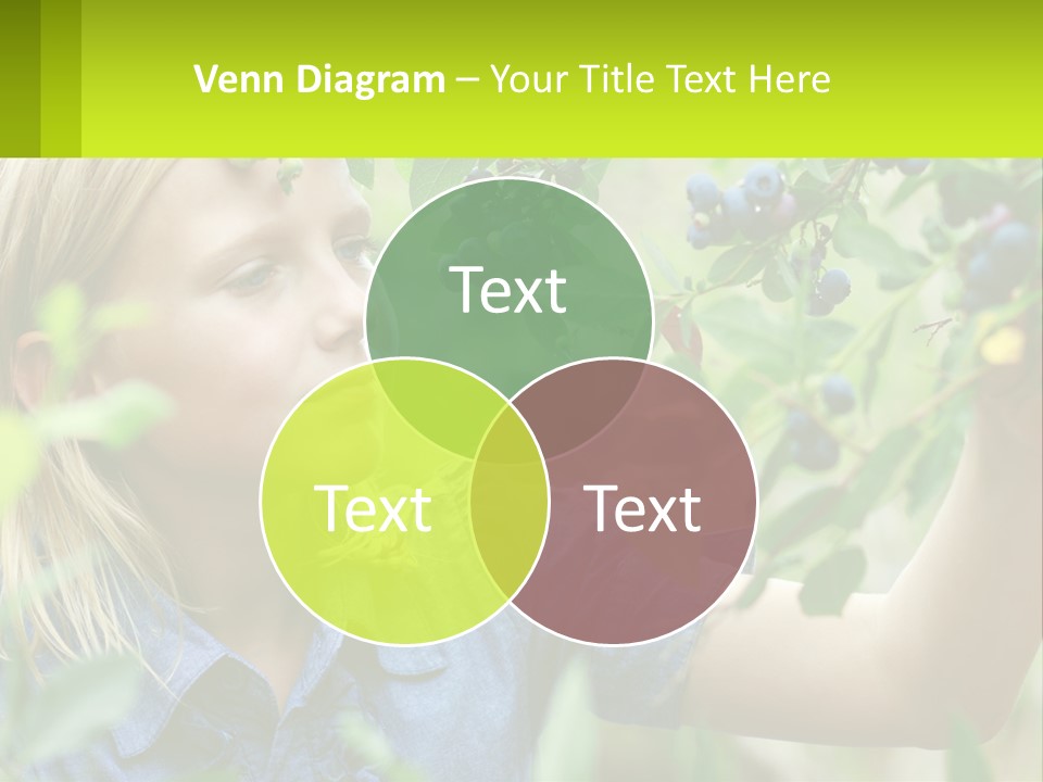 The Girl Collects Blueberries PowerPoint Template