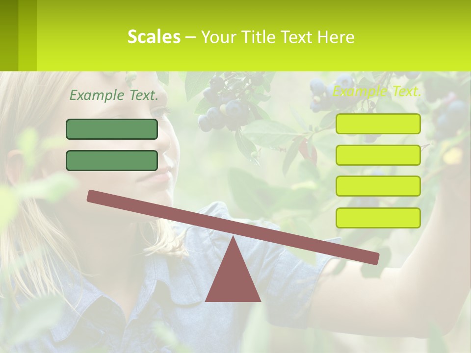 The Girl Collects Blueberries PowerPoint Template