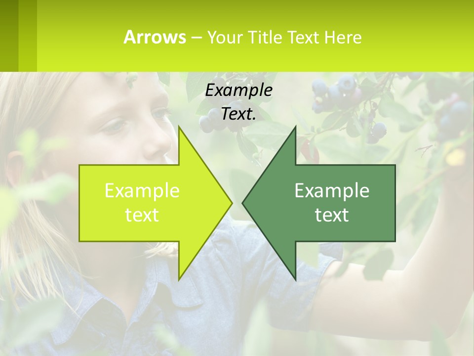 The Girl Collects Blueberries PowerPoint Template