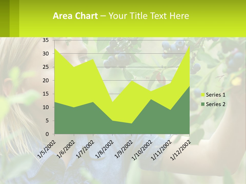 The Girl Collects Blueberries PowerPoint Template