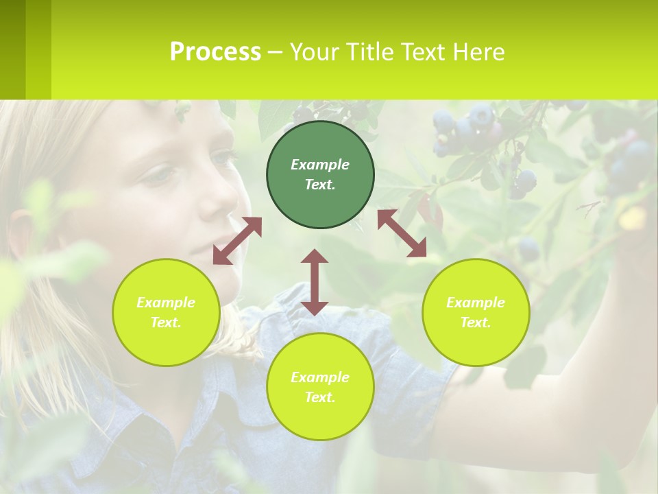 The Girl Collects Blueberries PowerPoint Template