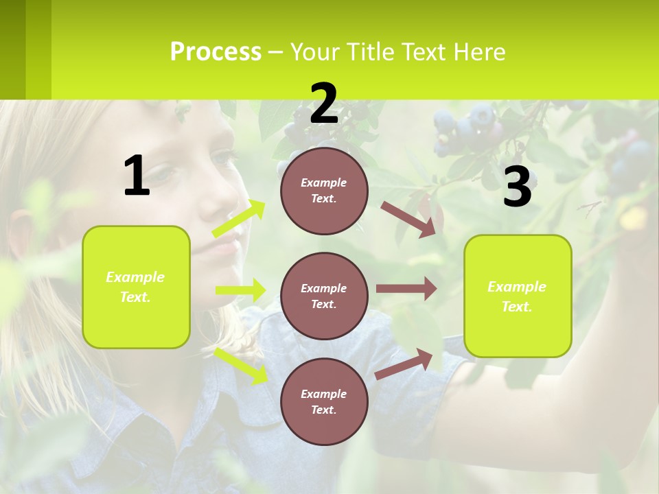 The Girl Collects Blueberries PowerPoint Template