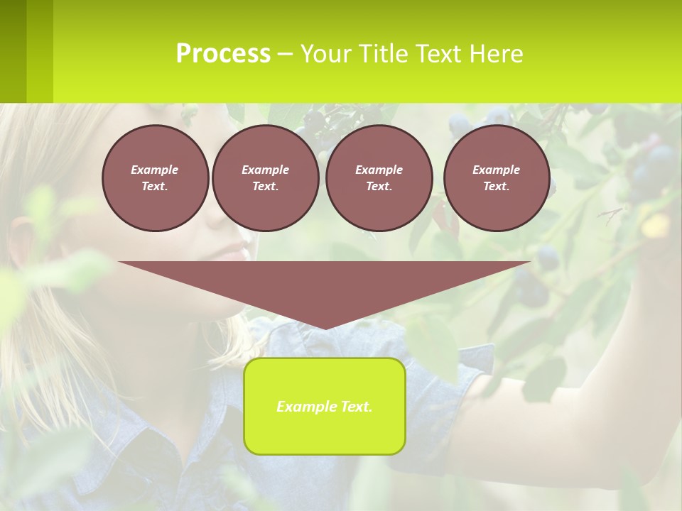 The Girl Collects Blueberries PowerPoint Template