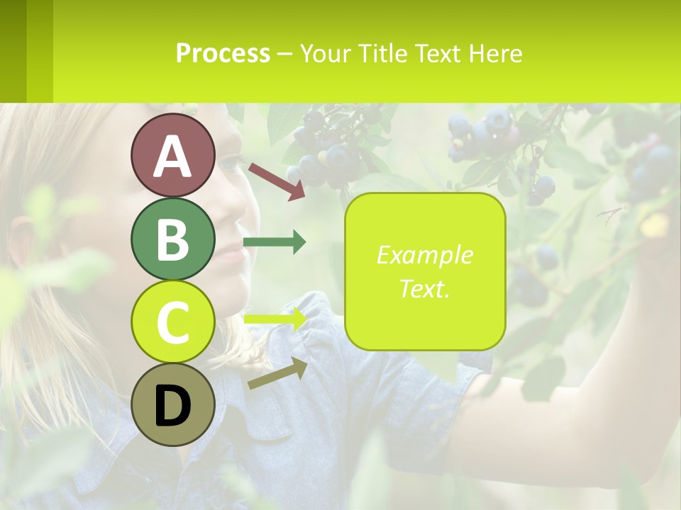 The Girl Collects Blueberries PowerPoint Template