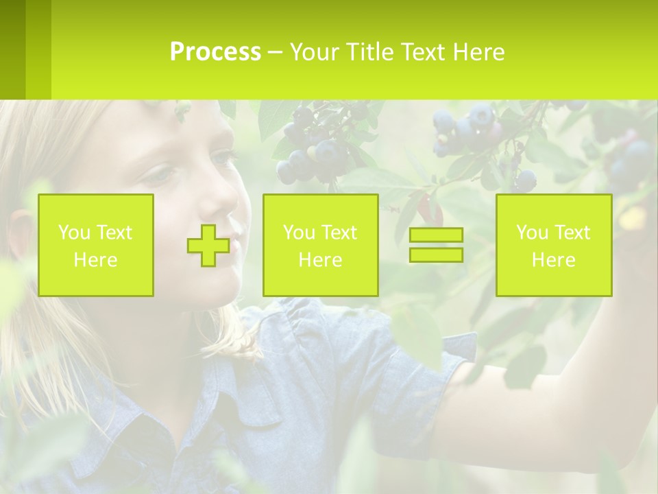 The Girl Collects Blueberries PowerPoint Template