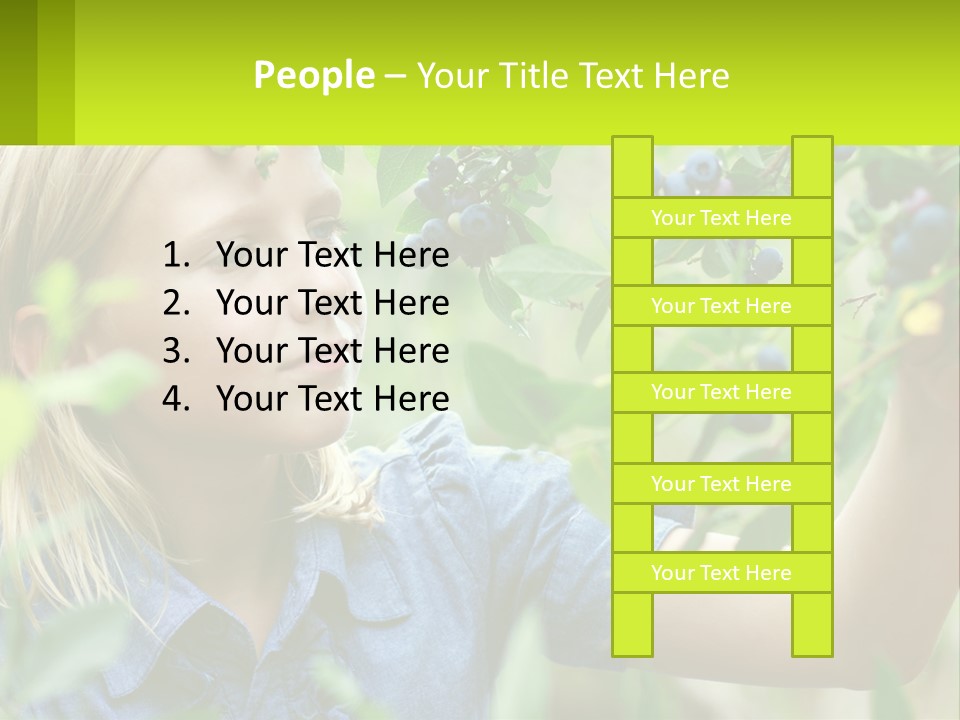 The Girl Collects Blueberries PowerPoint Template