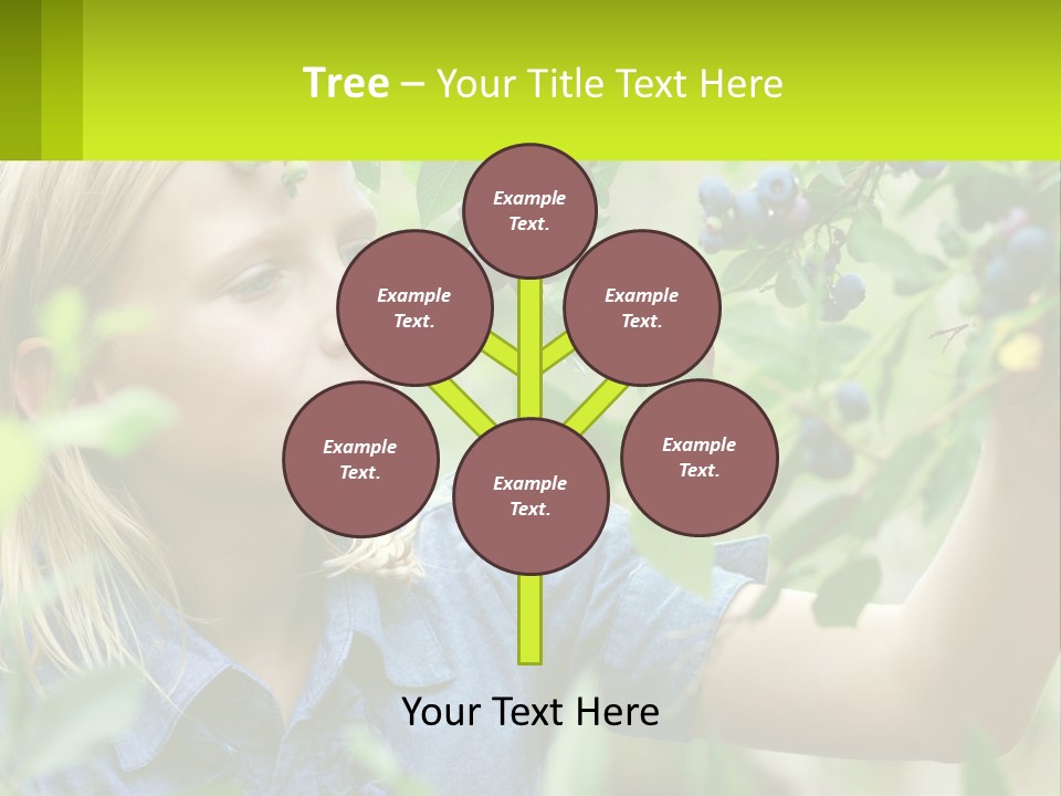 The Girl Collects Blueberries PowerPoint Template