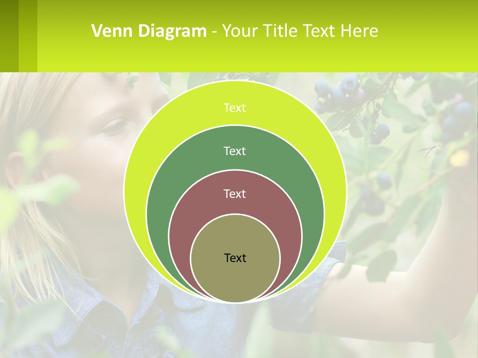 The Girl Collects Blueberries PowerPoint Template