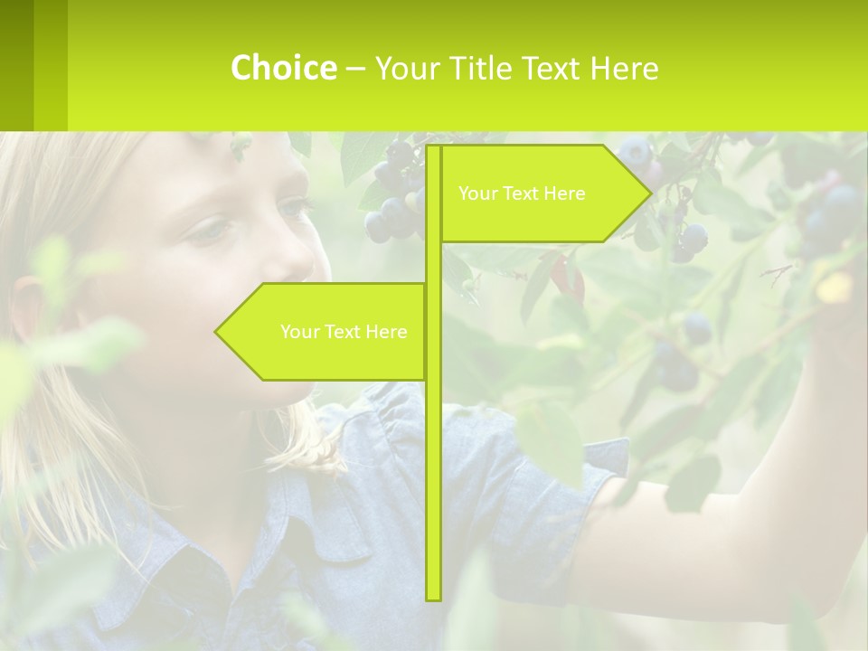 The Girl Collects Blueberries PowerPoint Template