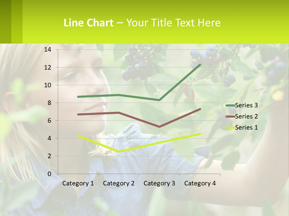 The Girl Collects Blueberries PowerPoint Template