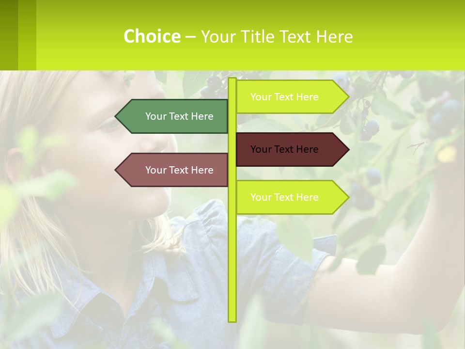 The Girl Collects Blueberries PowerPoint Template