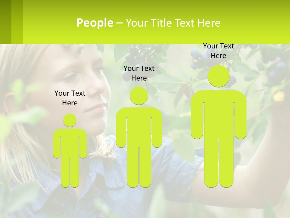 The Girl Collects Blueberries PowerPoint Template