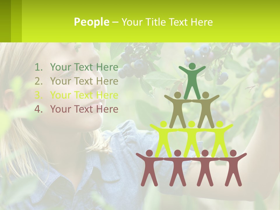 The Girl Collects Blueberries PowerPoint Template