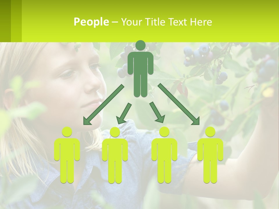 The Girl Collects Blueberries PowerPoint Template