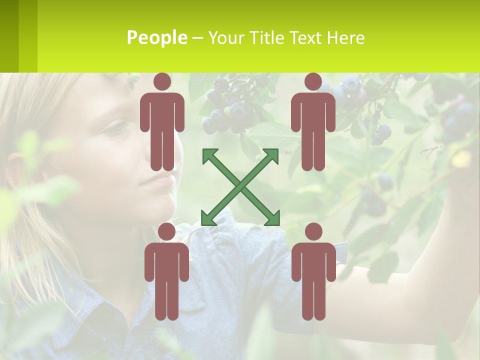 The Girl Collects Blueberries PowerPoint Template