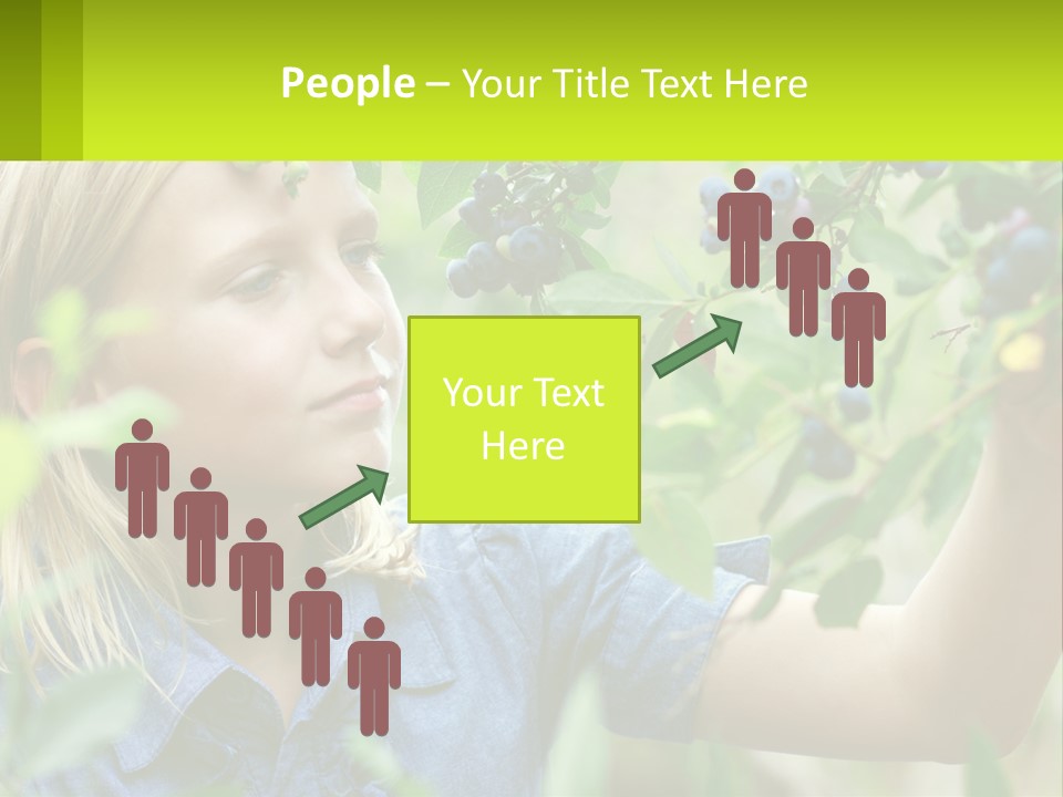 The Girl Collects Blueberries PowerPoint Template