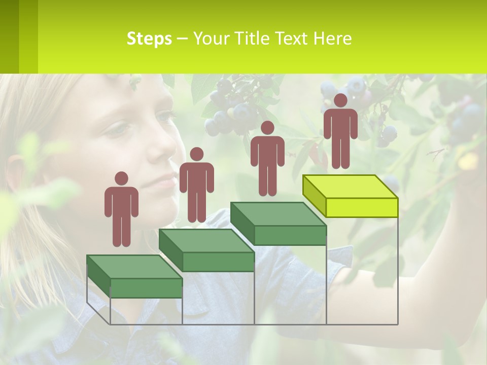 The Girl Collects Blueberries PowerPoint Template