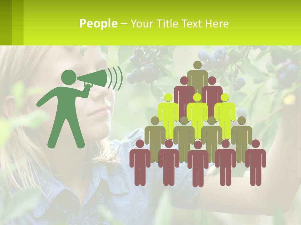 The Girl Collects Blueberries PowerPoint Template