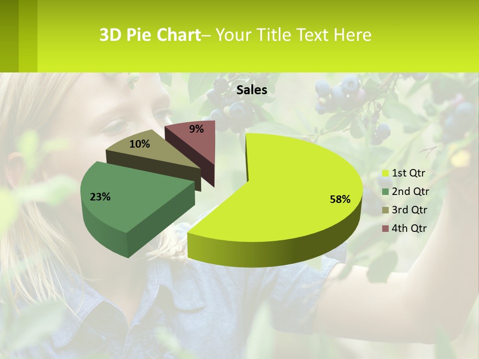 The Girl Collects Blueberries PowerPoint Template