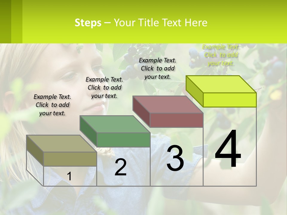 The Girl Collects Blueberries PowerPoint Template