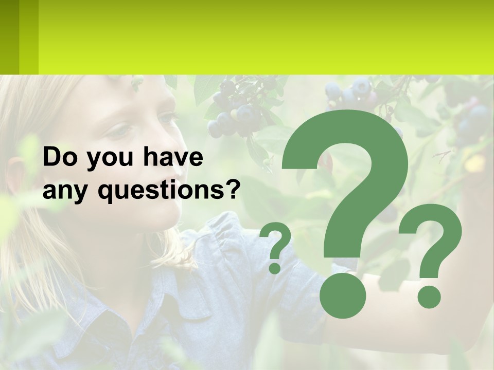 The Girl Collects Blueberries PowerPoint Template