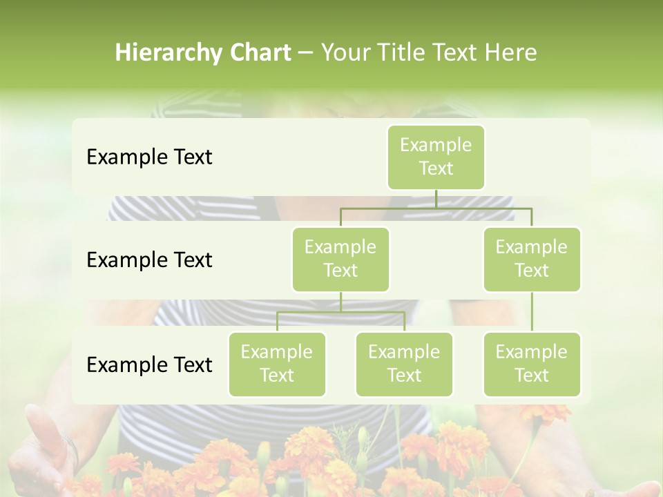 Grandmother Plants Flowers PowerPoint Template