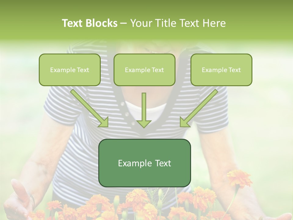 Grandmother Plants Flowers PowerPoint Template
