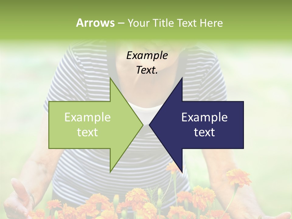 Grandmother Plants Flowers PowerPoint Template