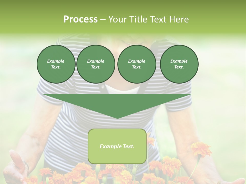 Grandmother Plants Flowers PowerPoint Template