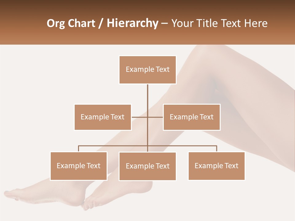 The Girl's Legs PowerPoint Template