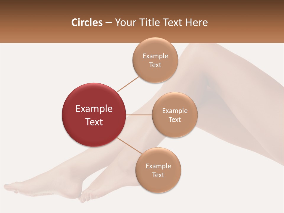 The Girl's Legs PowerPoint Template