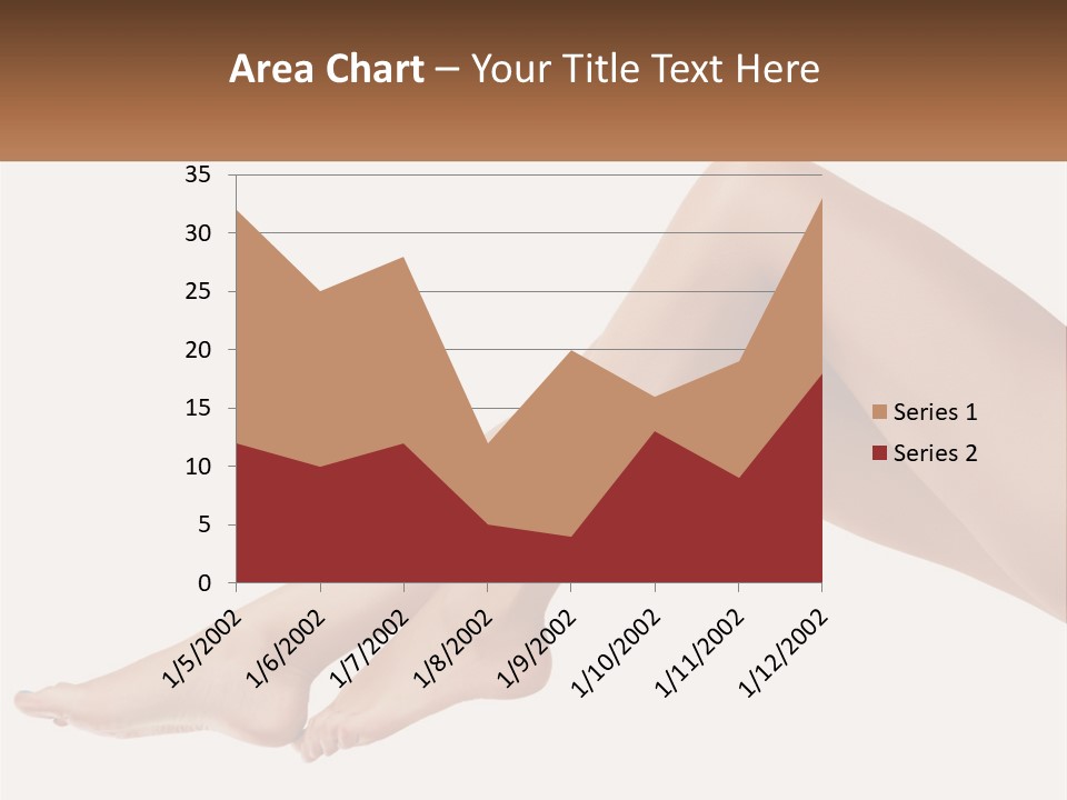 The Girl's Legs PowerPoint Template