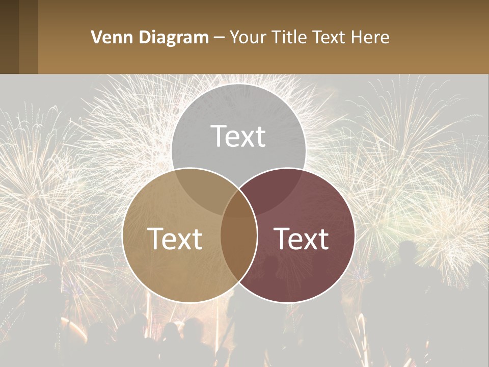 People Look At Fireworks PowerPoint Template