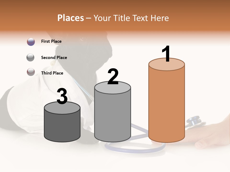 Pug In A Doctor's Suit PowerPoint Template