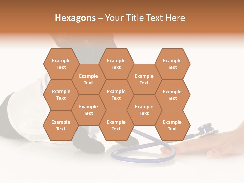 Pug In A Doctor's Suit PowerPoint Template