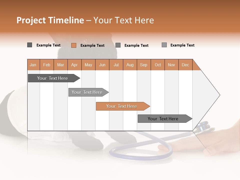 Pug In A Doctor's Suit PowerPoint Template