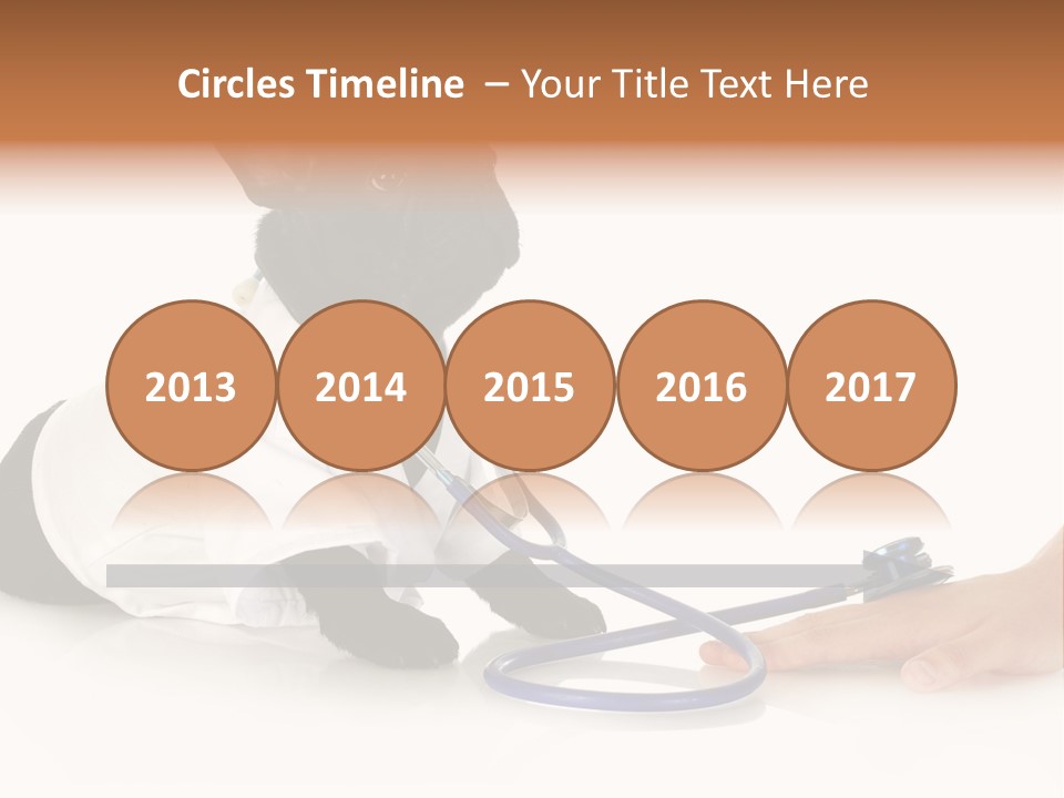 Pug In A Doctor's Suit PowerPoint Template