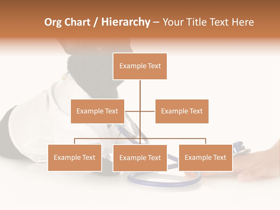 Pug In A Doctor's Suit PowerPoint Template