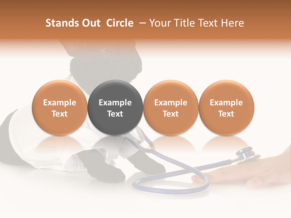 Pug In A Doctor's Suit PowerPoint Template