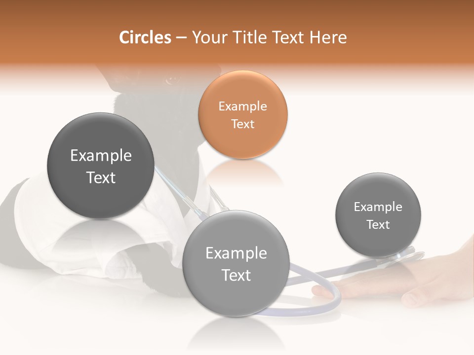 Pug In A Doctor's Suit PowerPoint Template