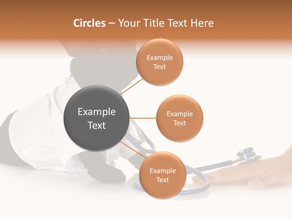 Pug In A Doctor's Suit PowerPoint Template