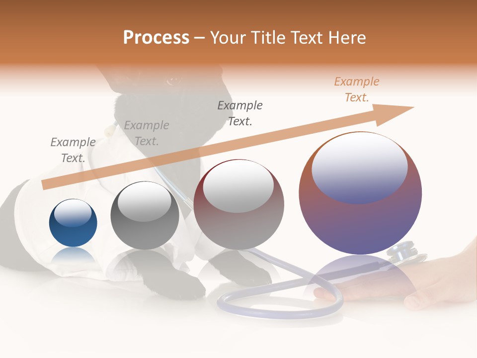 Pug In A Doctor's Suit PowerPoint Template