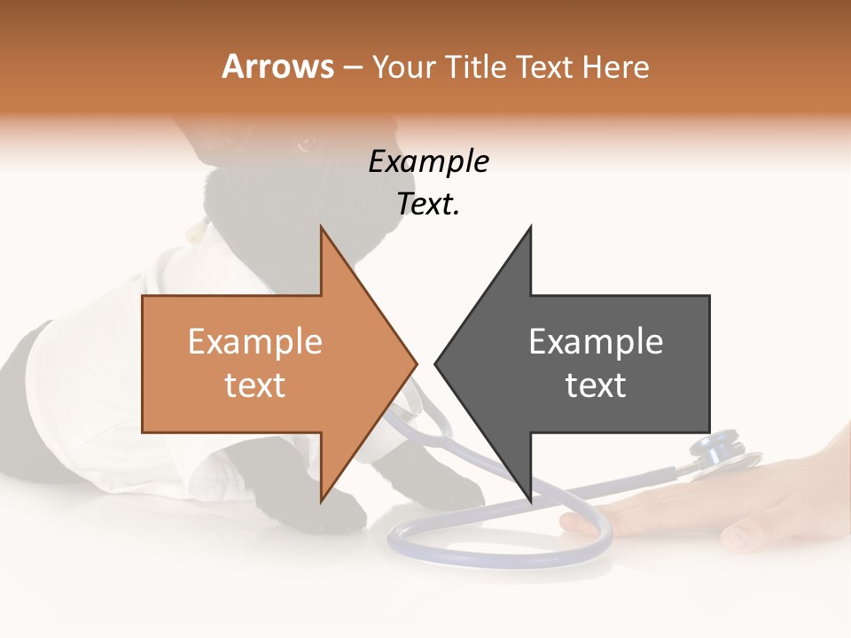 Pug In A Doctor's Suit PowerPoint Template