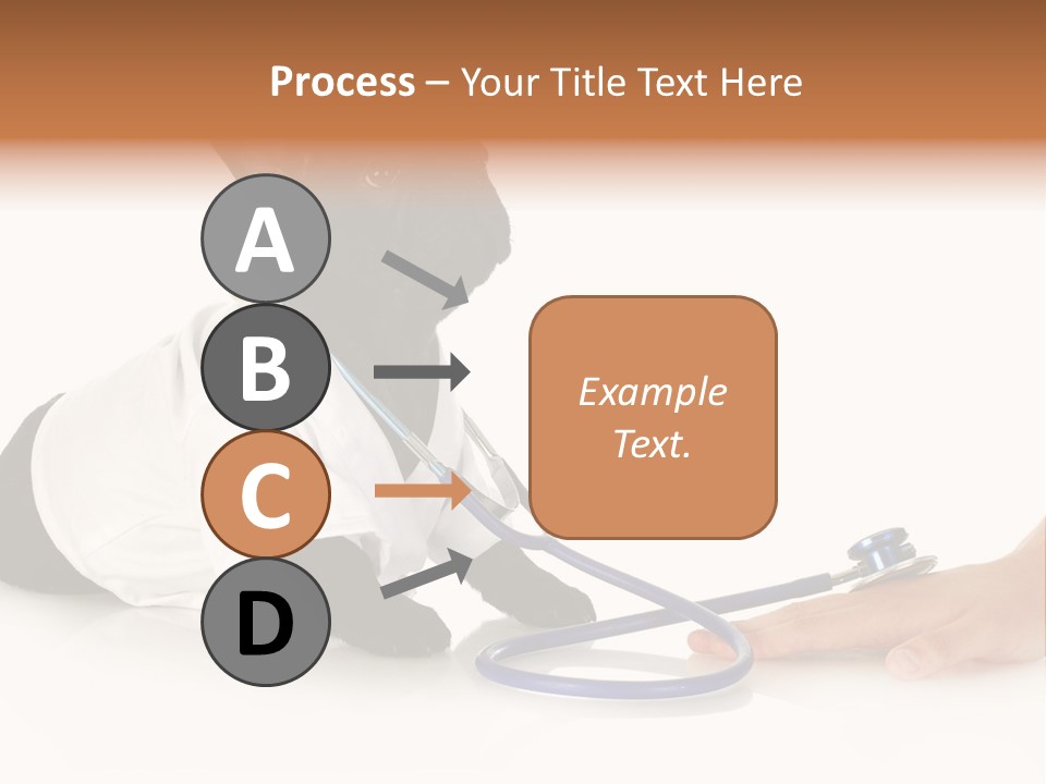Pug In A Doctor's Suit PowerPoint Template