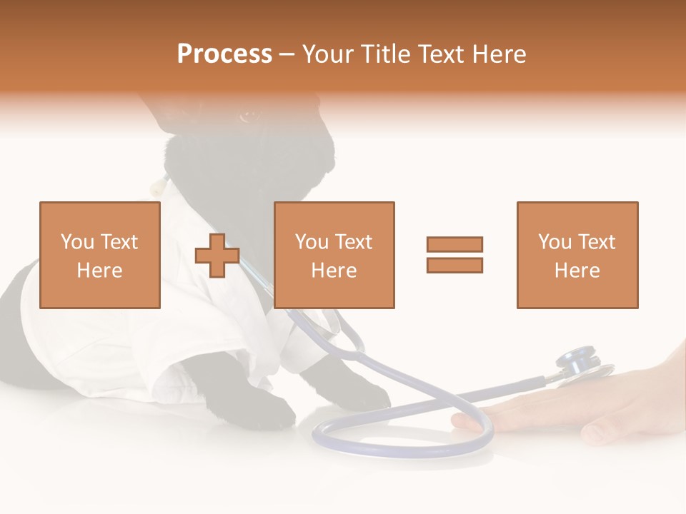 Pug In A Doctor's Suit PowerPoint Template