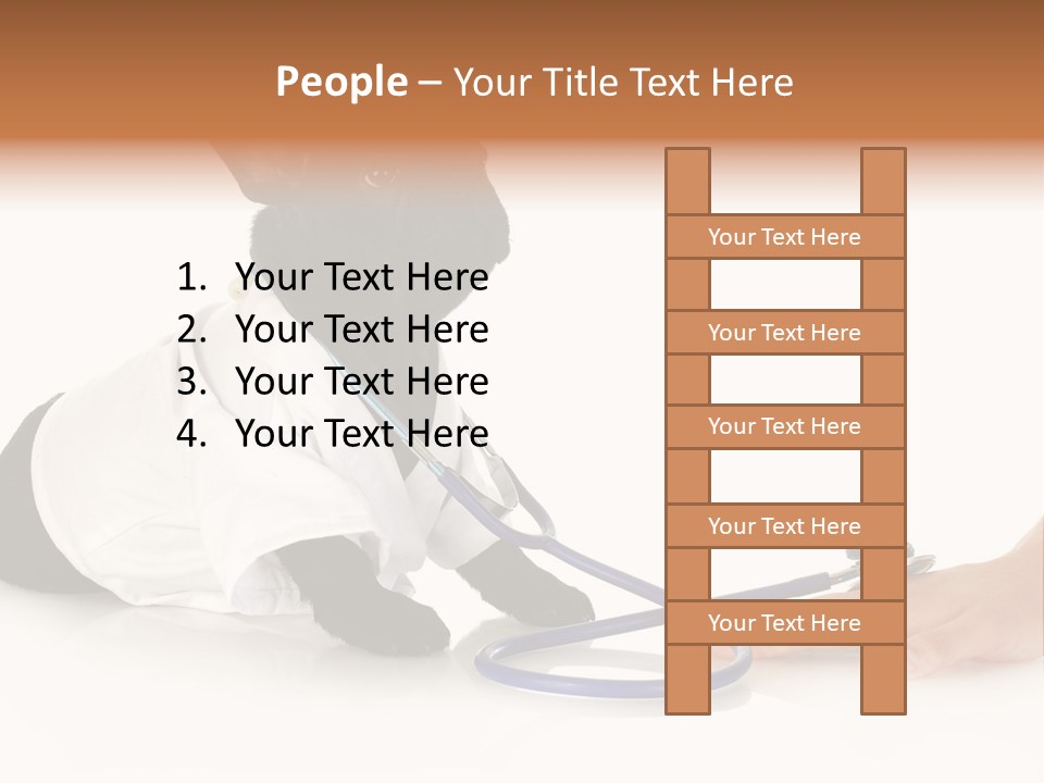 Pug In A Doctor's Suit PowerPoint Template