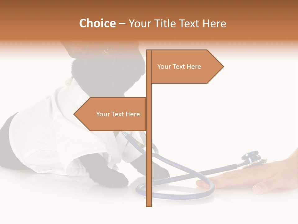 Pug In A Doctor's Suit PowerPoint Template