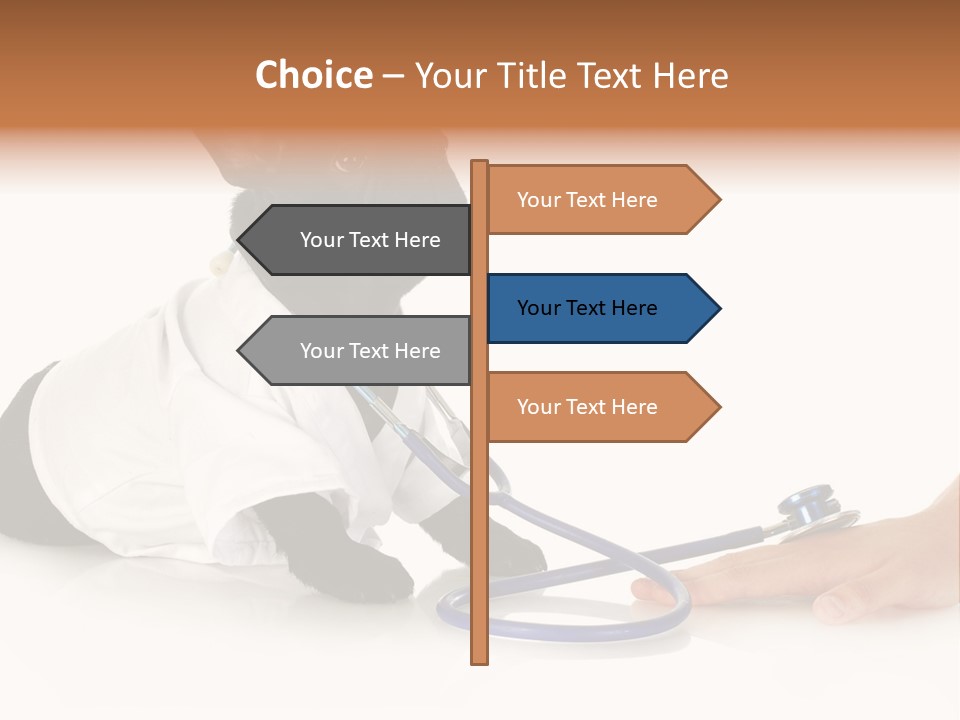 Pug In A Doctor's Suit PowerPoint Template